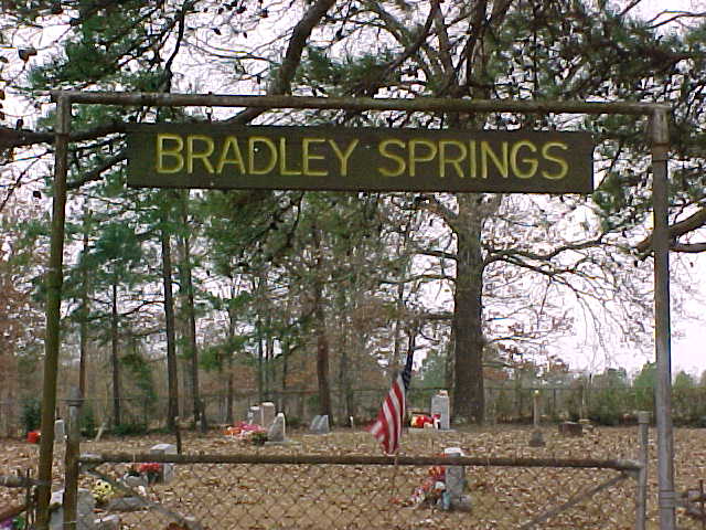 bradleysprings1.jpg (70889 bytes)