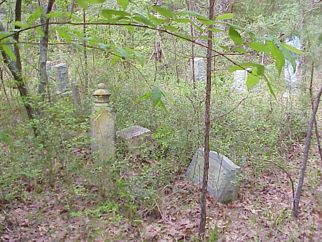 xcepps1.jpg (121883 bytes)
