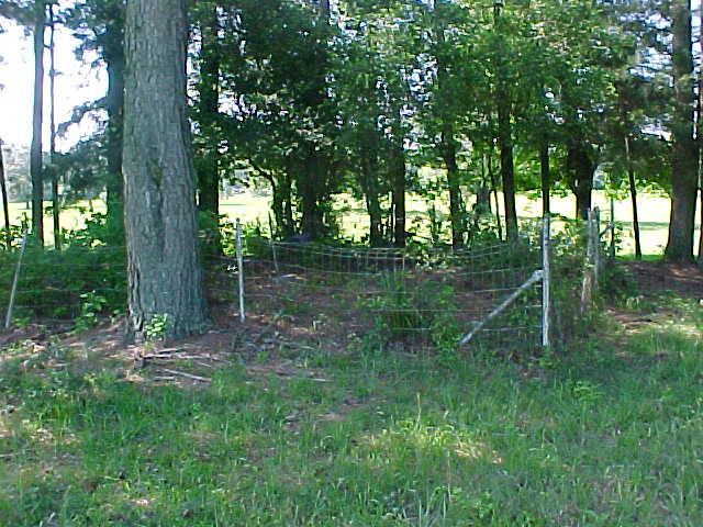 xchooper4.jpg (65987 bytes)